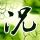 调解面对面